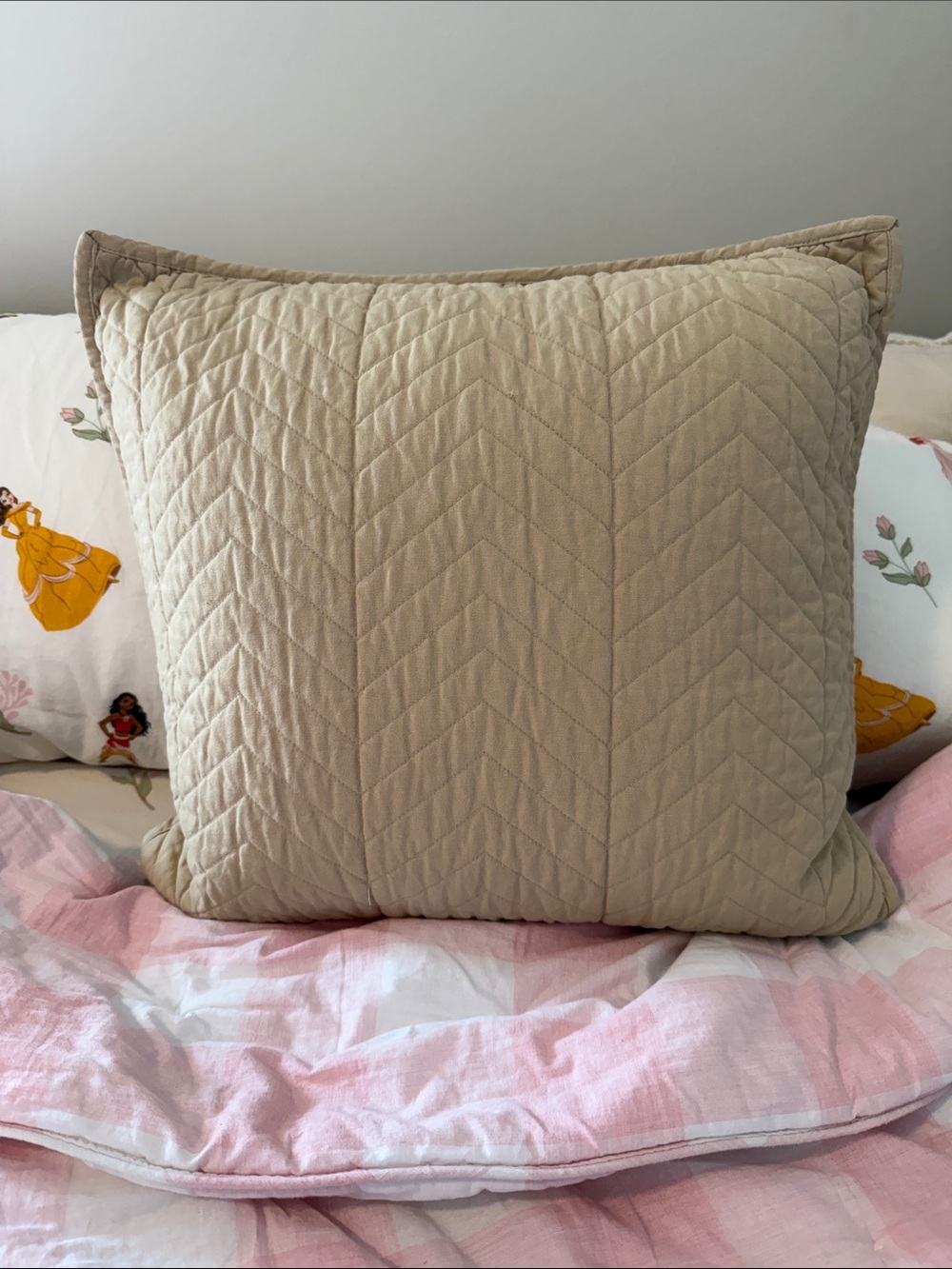 2 Lands' End Chevron Beige 20.5" x 20.5" Cotton Decorative Pillow Cases